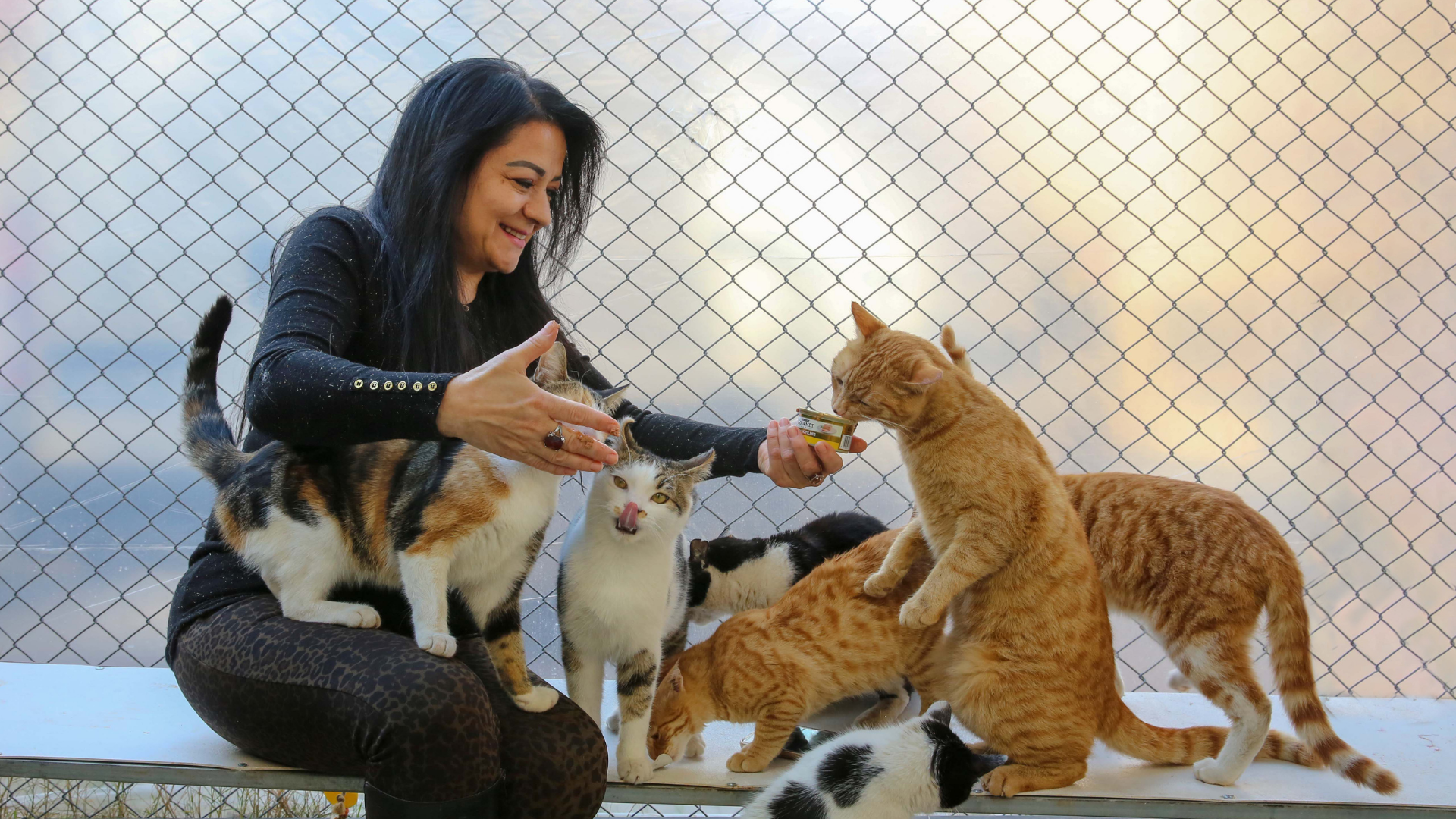 Eğlenceli İngilizce öğrenme ile SpeakUp dersi