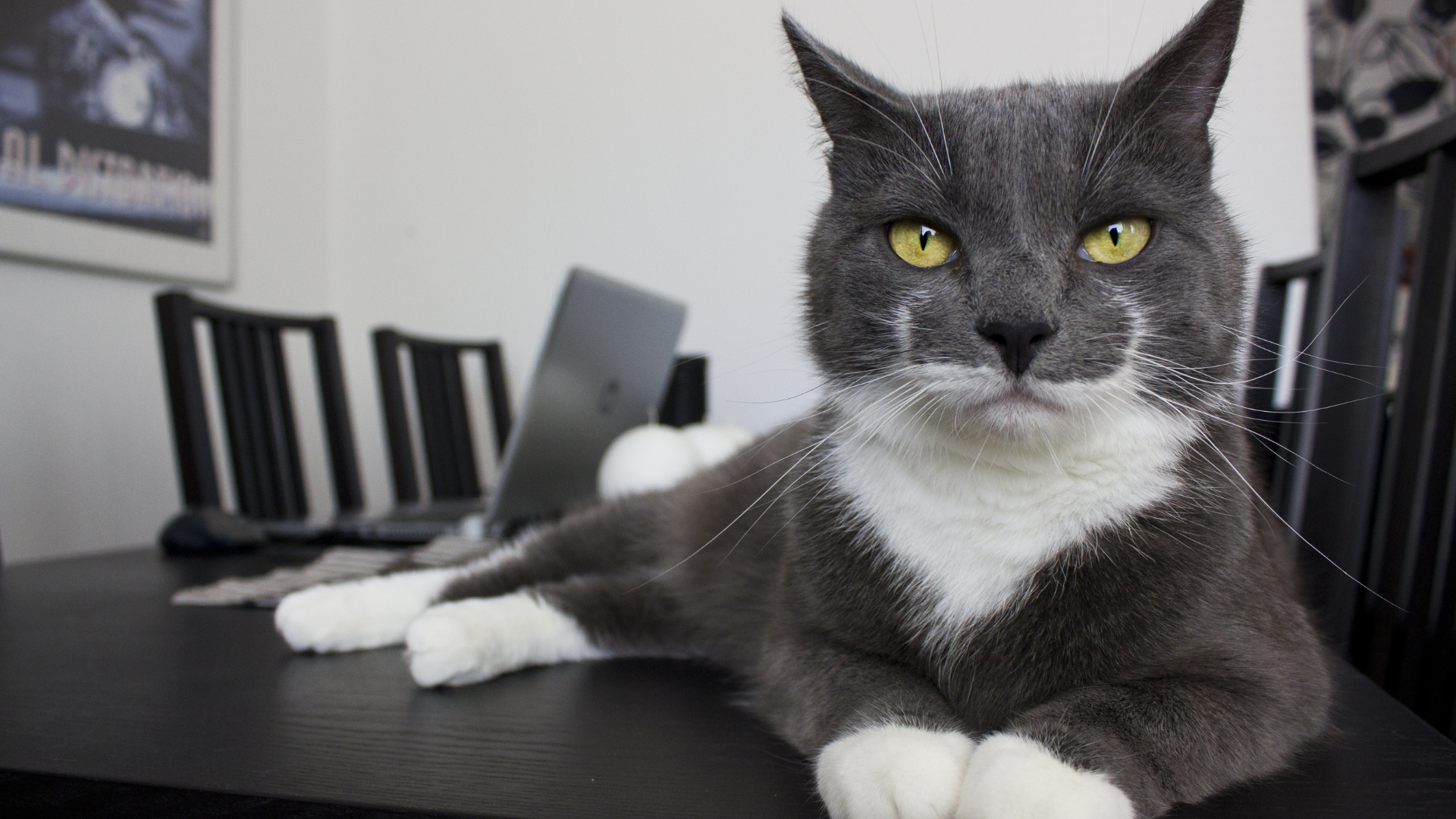 İngilizce konuşma uygulamaları ile SpeakUp dersi